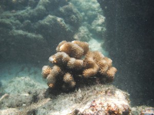 DSCF2769