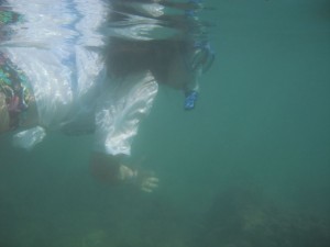 DSCF2827