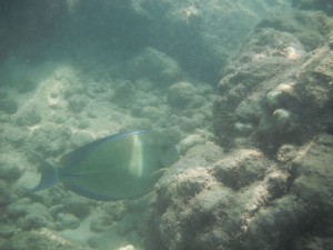 DSCF2841