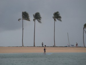 DSCF2941