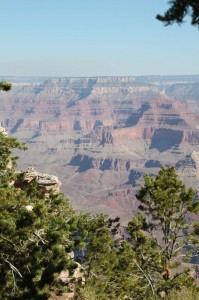 IMG_0464