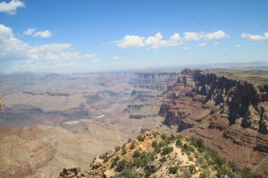 IMG_0516
