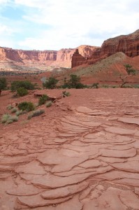 IMG_0699