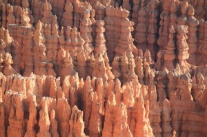 IMG_0810