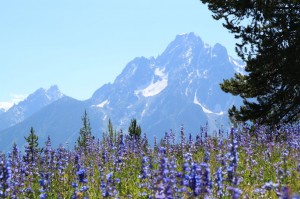 IMG_0926