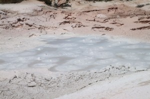 IMG_0995