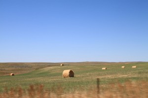 IMG_1128
