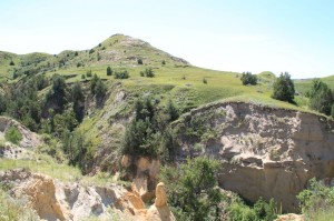 IMG_1293