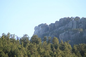 IMG_1329