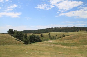 IMG_1360