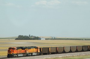 IMG_1381