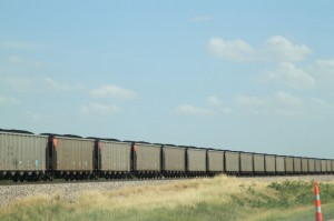 IMG_1384
