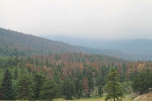 IMG_1647