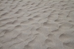 IMG_1781