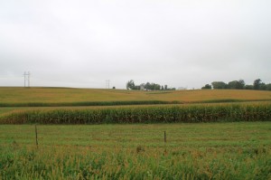 IMG_1910