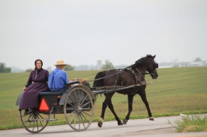IMG_1914