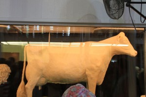 IMG_1941