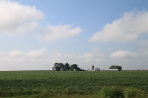 IMG_1985