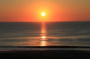 IMG_2080