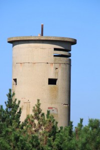 IMG_2093