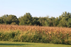 IMG_2115