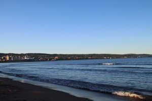 IMG_2343