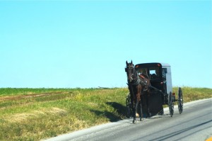 IMG_2491