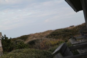 IMG_2757