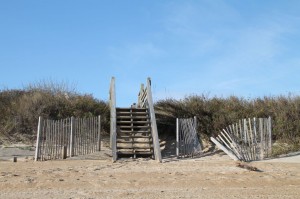IMG_2788