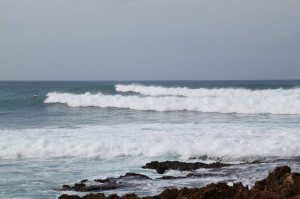 IMG_3197