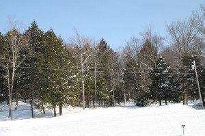 IMG_3434