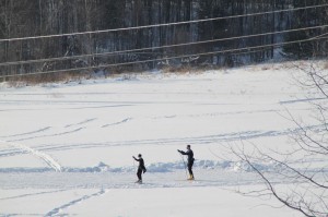 IMG_3441