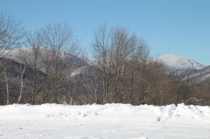 IMG_3561