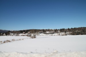 IMG_3598