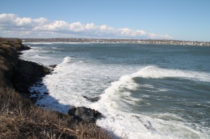 IMG_3769