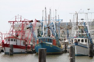 IMG_3867