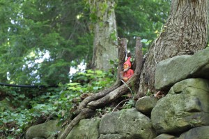 IMG_4601