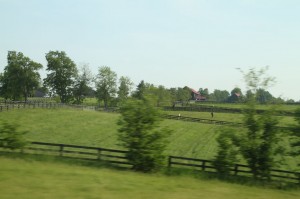 IMG_4799
