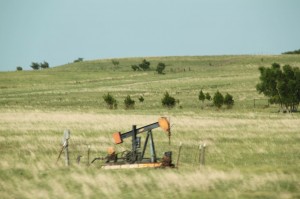 IMG_5216