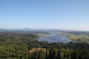 IMG_5992